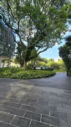 One-north Residences (D5), Apartment #555541241